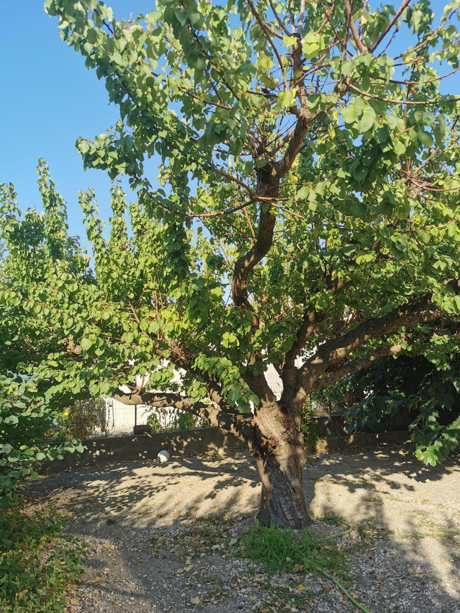 Villa Dans Le Sud Lunel (Herault) Exterior foto